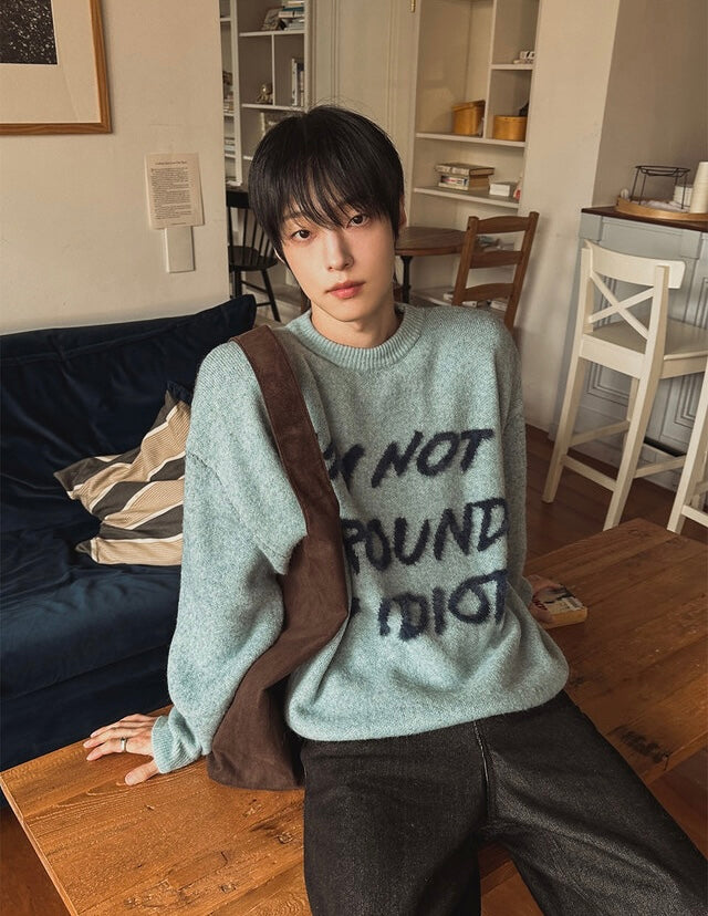 I'm not surrounded by idiot寬鬆針織衫｜4色入