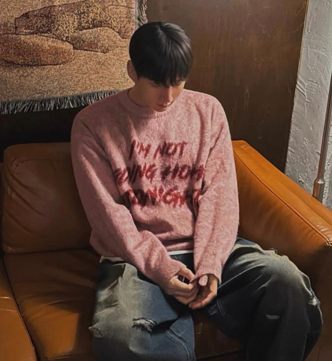 I'm not surrounded by idiot寬鬆針織衫｜4色入