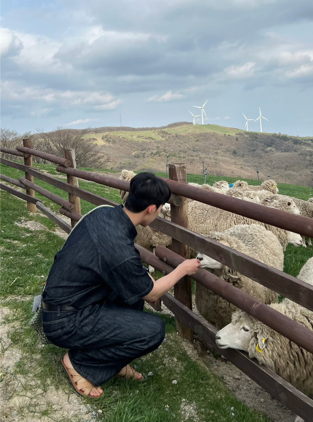 PREMIUM Set👑水洗牛仔短袖恤衫｜1色入